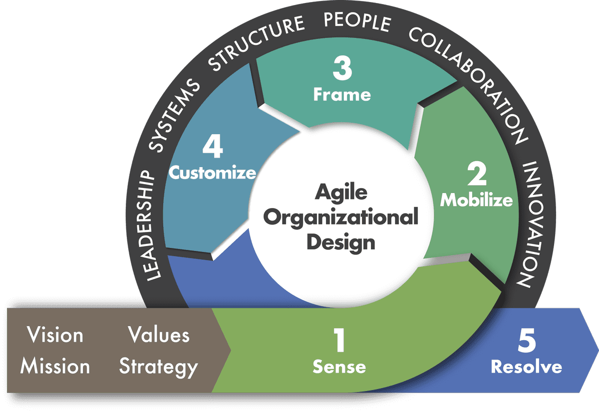 Agile Organizational Design