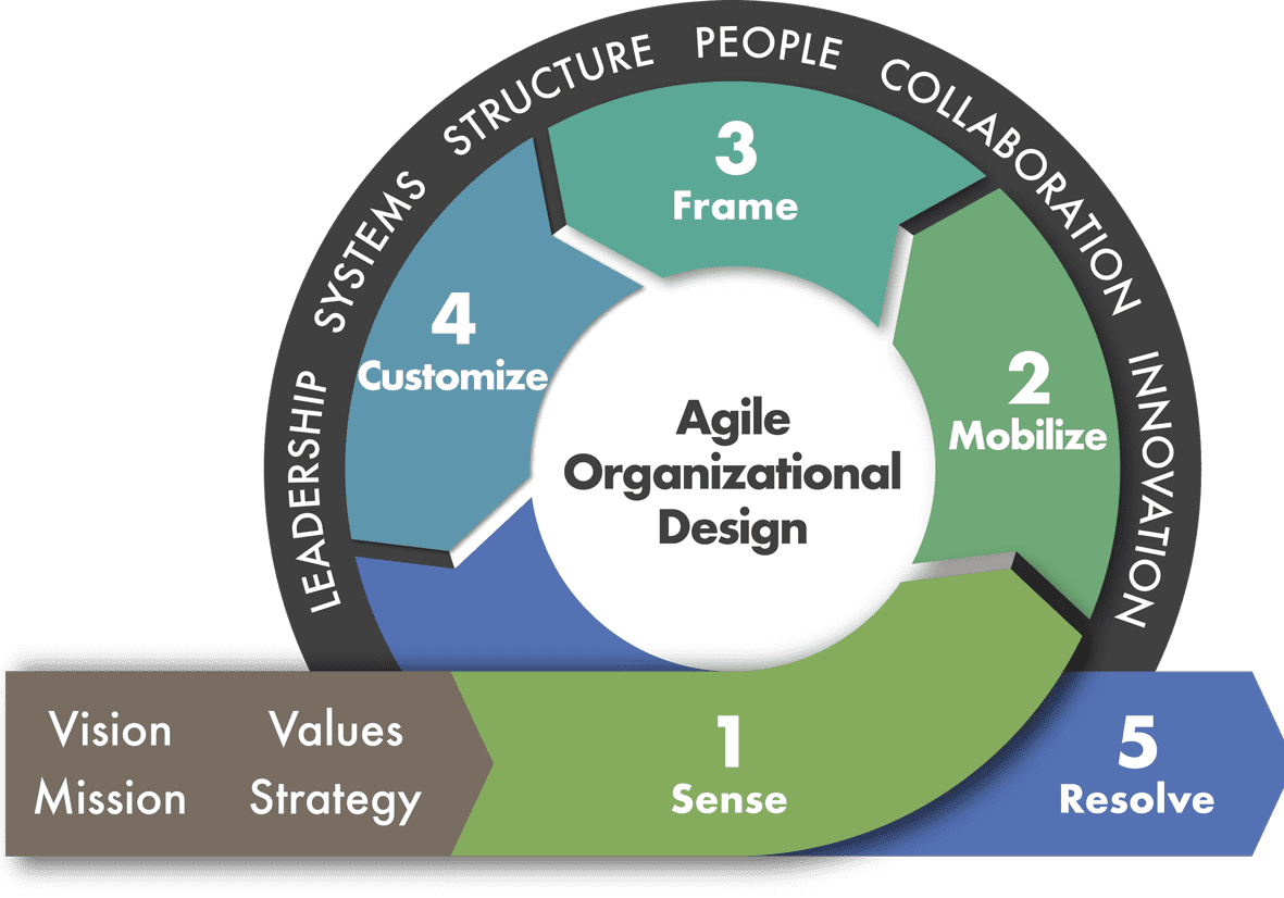 Agile Organizational Design