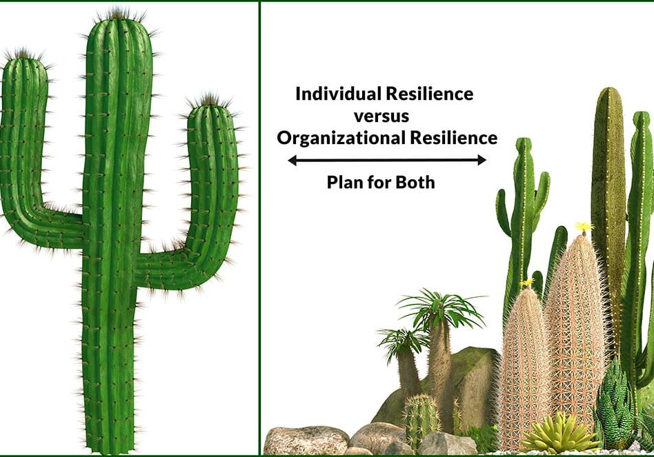 Planning-for-Resilience